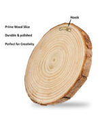 Victoria Memorial Kolkata (Wooden log) - Image 2